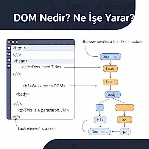 DOM Nedir? Ne İşe Yarar?